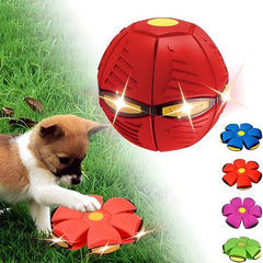 🐕ODALIT™Doggy Disc Ball🛸