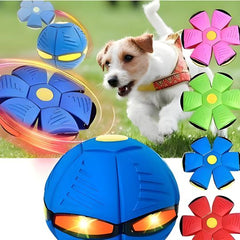 🐕ODALIT™Doggy Disc Ball🛸