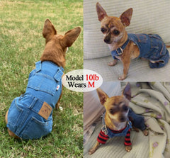 ⏰LAST DAY 49% OFF - Dog Denim Overalls🐱🐶(For cats and dogs)
