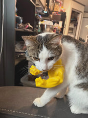 🎉Hot Sale 49% OFF🎉Creative Green Giant arm